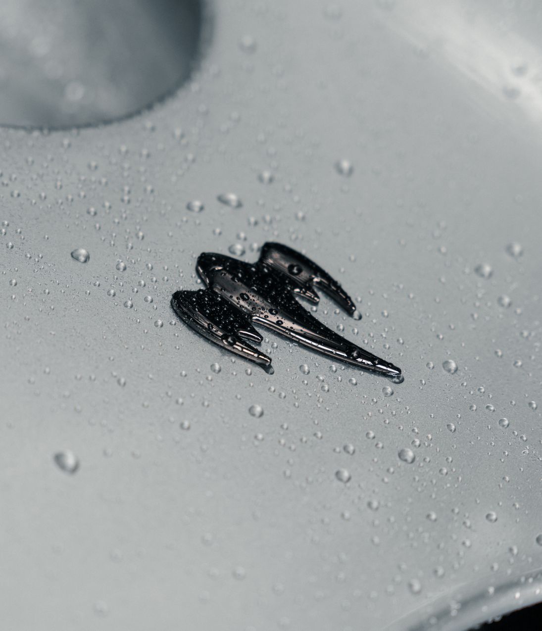 Spirit of Performance symbol on car