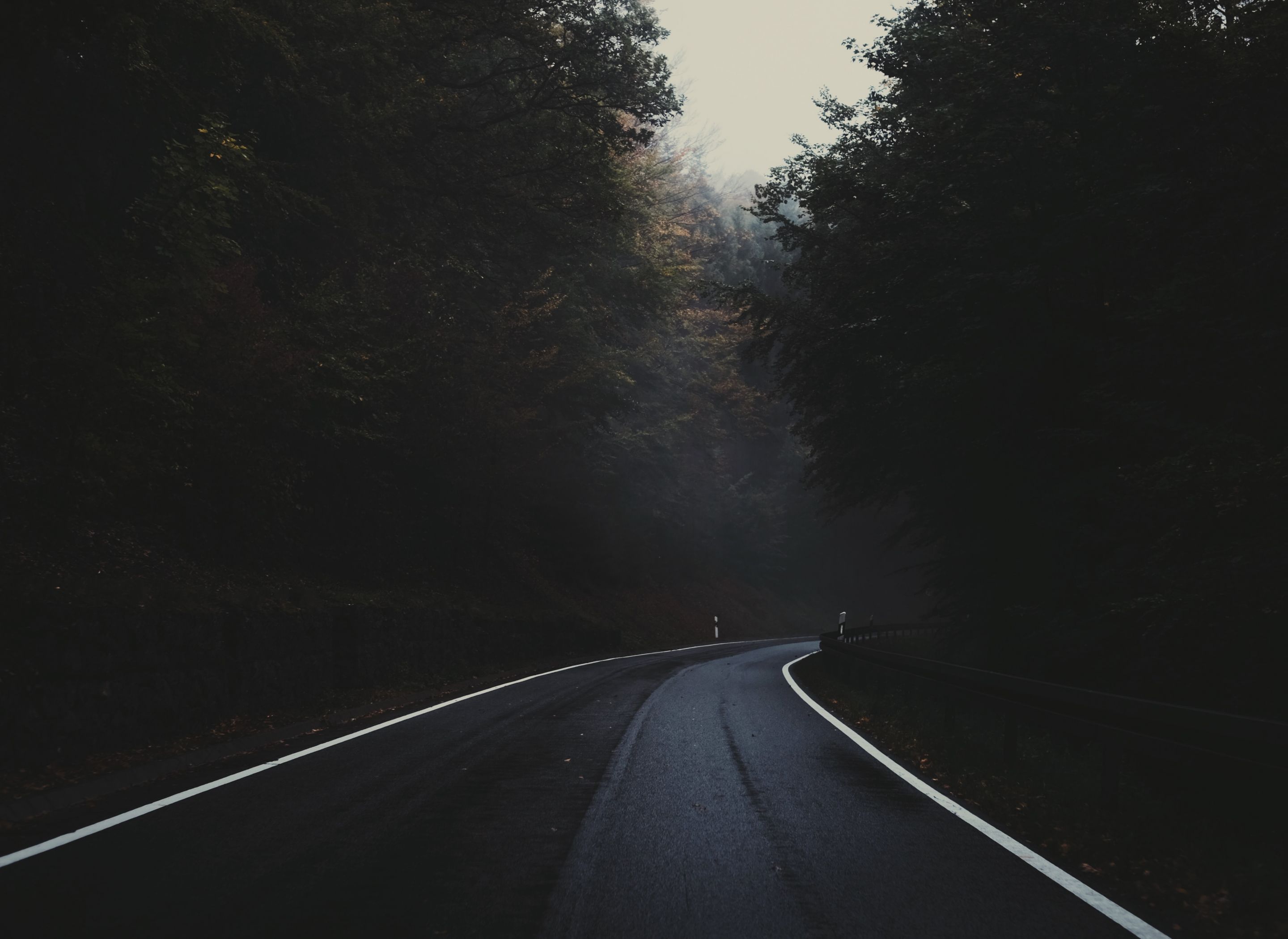 Forest road