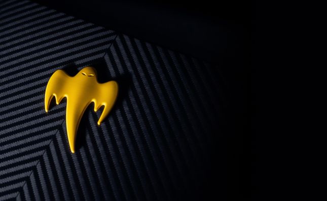 Image of the cover with the yellow bat seal